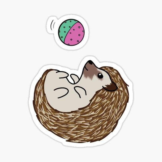 Discover Playful Hedgehog