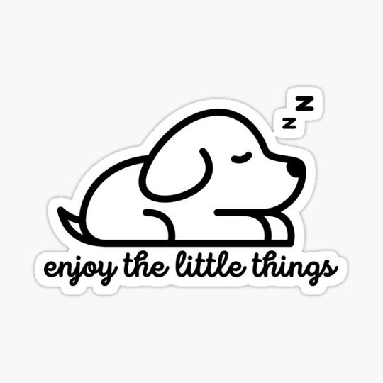 Discover dog enjoy the little things