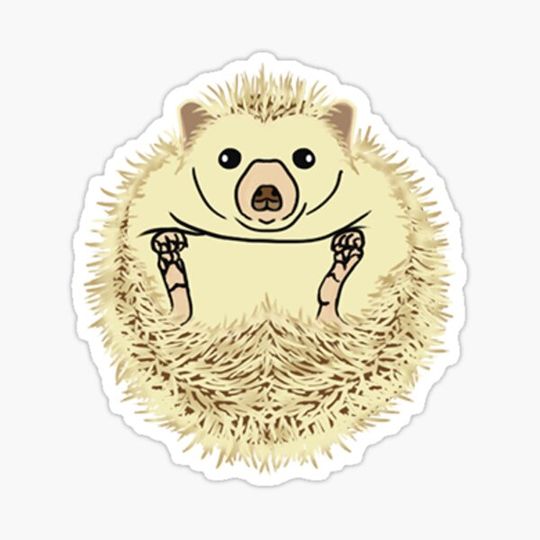 Discover itty-bitty Hedgehog