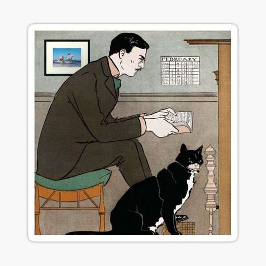 Discover Reading with the cat