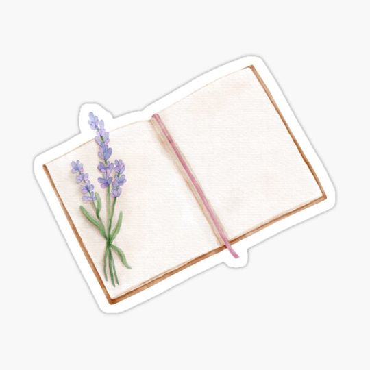 Discover Open book with blank pages