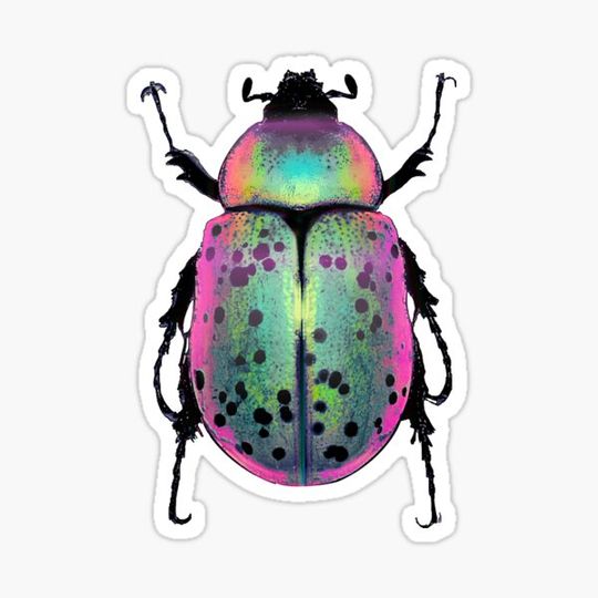 Discover Pink and Green Beetle