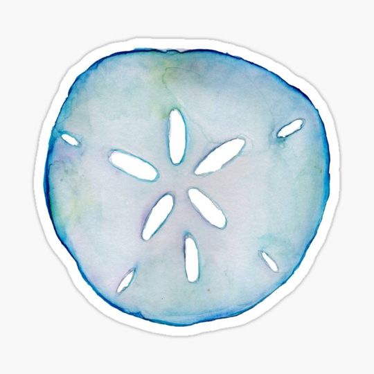 Discover Shell #6 in the Seashell Series