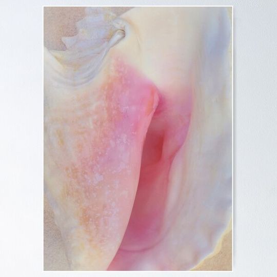 Discover Inner Beauty