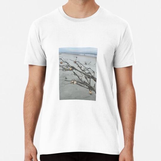 Discover Seashell tree