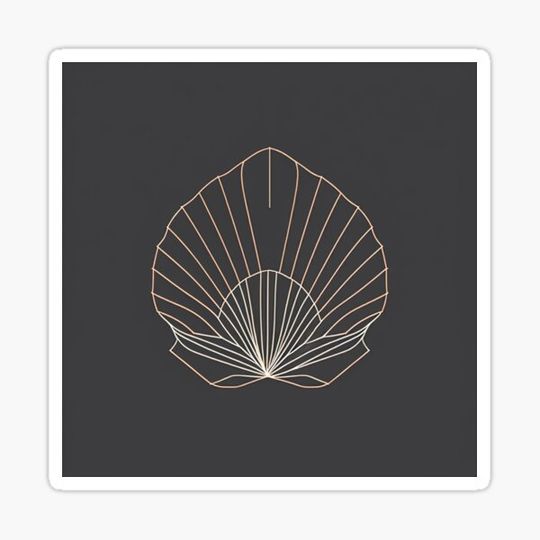 Discover Minimalistic Seashell