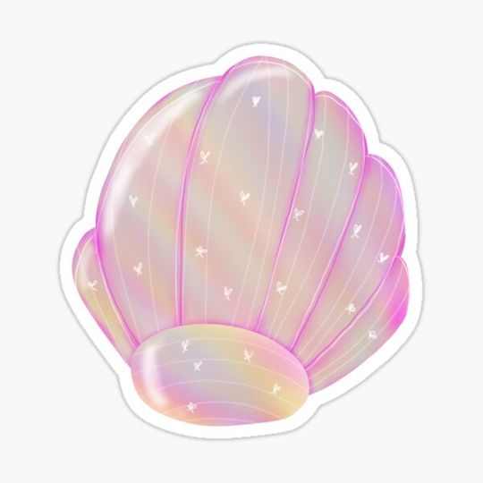 Discover seashell beauty