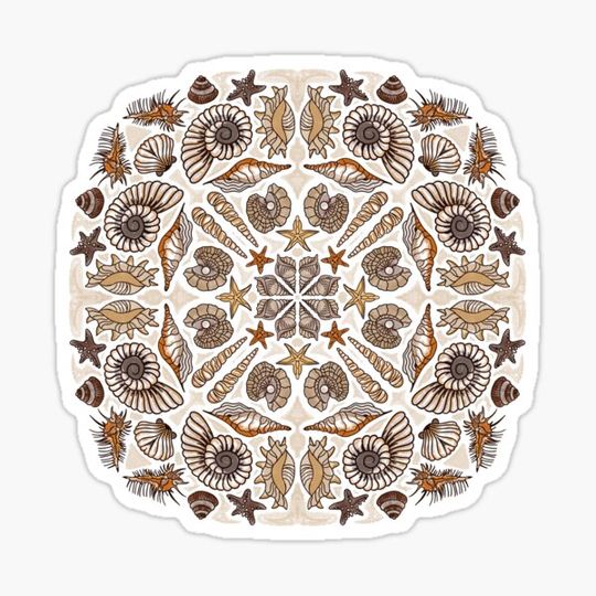 Discover Seashell Mandala