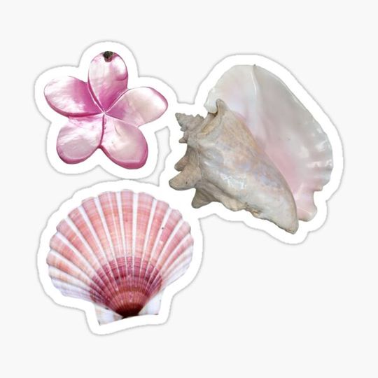 Discover MERMAIDCORE cutesy shells