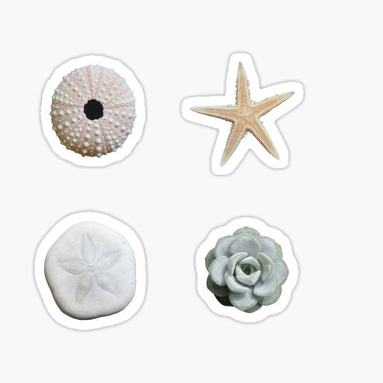 Discover Beach Set