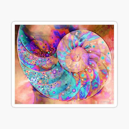 Discover Jubilant Nautilus Shell Seashell Art