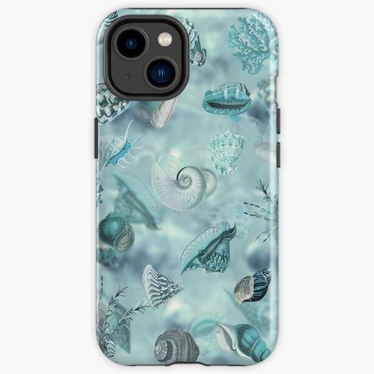 Discover Sea shells Wonder