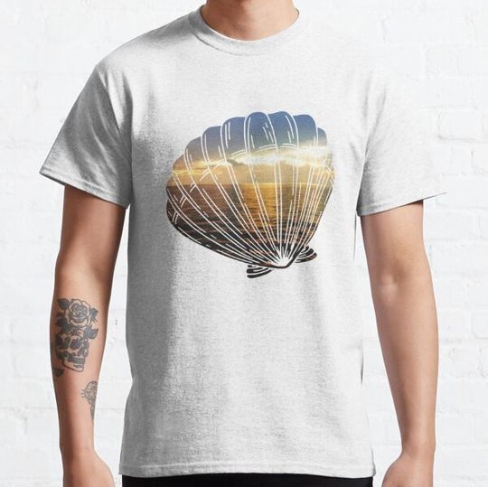 Discover Sunset Seashell