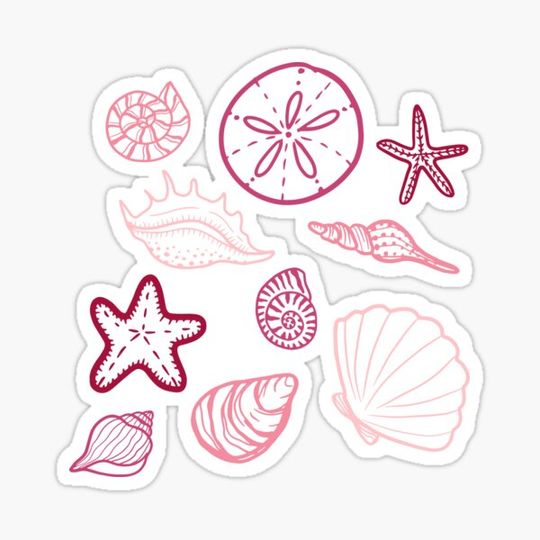 Discover Pink Nautical Sea Shells