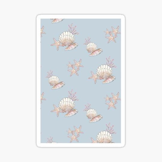 Discover sea shell