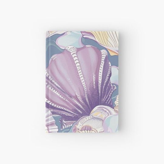 Discover Shells 1