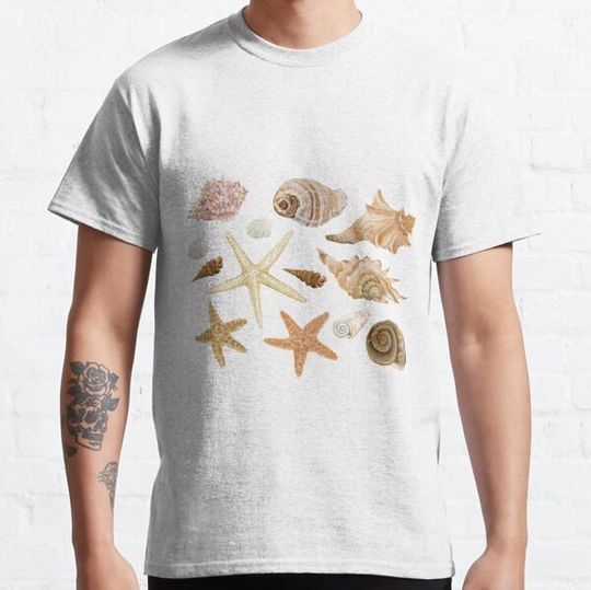 Discover Sea Shells