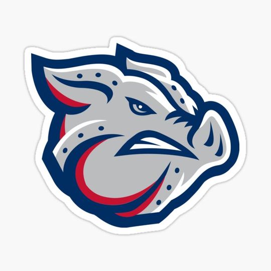Cool Lehigh Valley IronPigs Icon