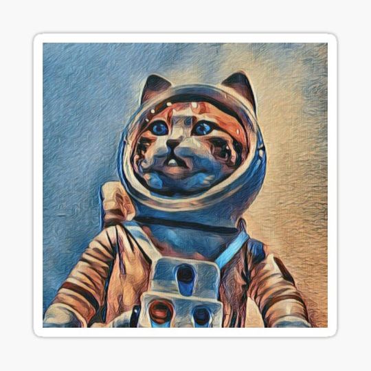 Discover Space Kitty …