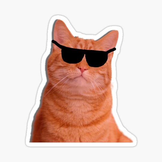 Discover Cool Red Cat With Glasses-Cute Small Feline