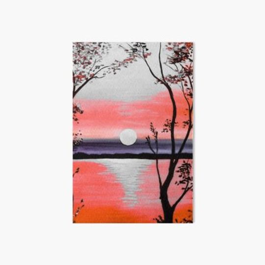 Discover Sun in nature at evening time