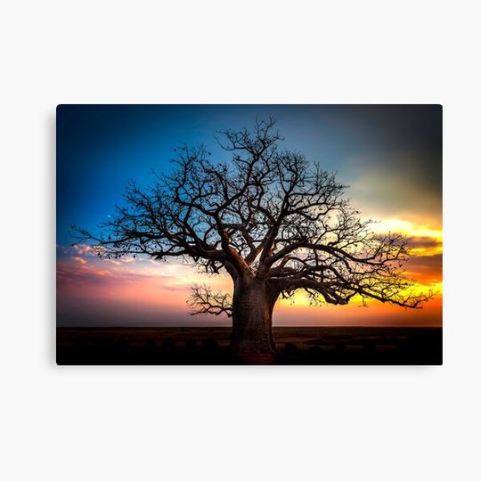 Discover Dusk At The Dinner Tree