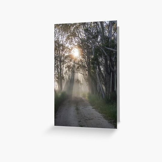 Discover ~ A New Road ~