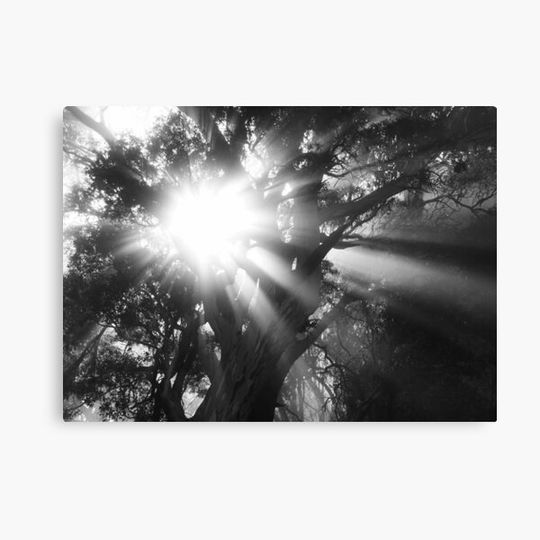 Discover ~ Solar Power ~