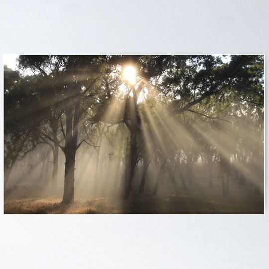 Discover ~ Guiding Light ~