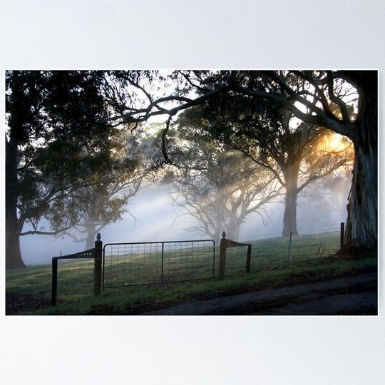 Discover ~ Misty Gate ~