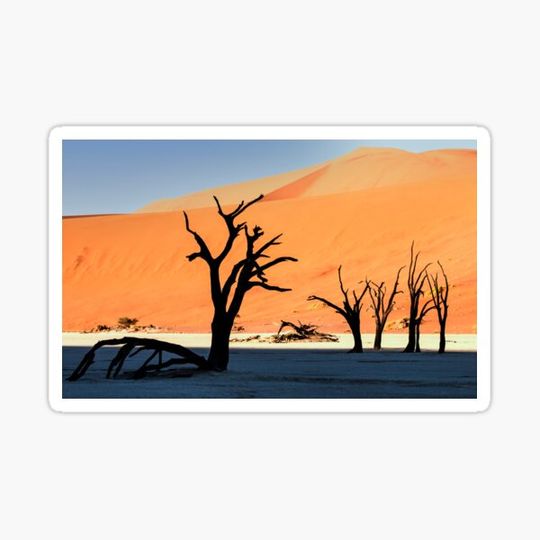 Discover Dead Trees Rising