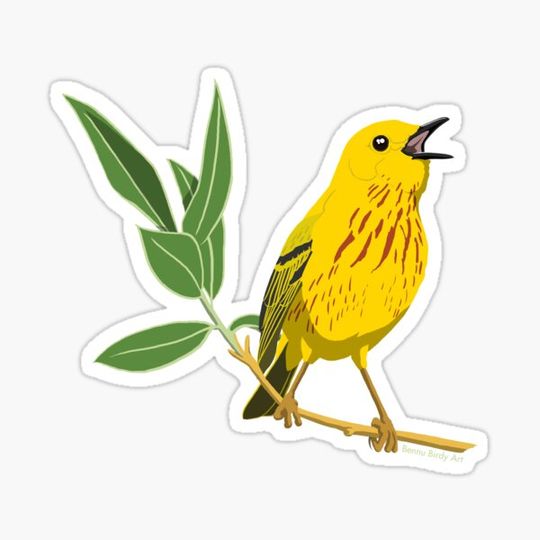 Discover Yellow Warbler