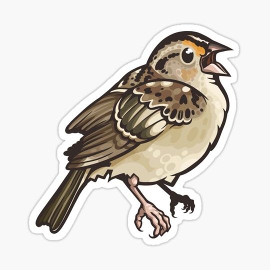 Discover Grasshopper Sparrow