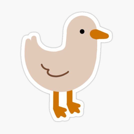 Discover just a duck
