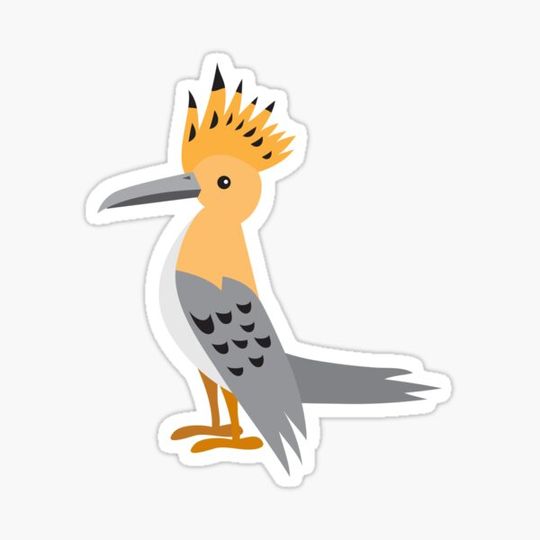Discover woodpecker