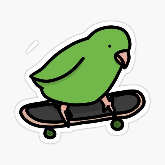 Discover Skateboarding Bird
