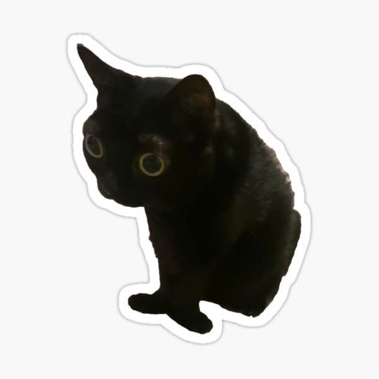 Discover cat being a weird little guy sticker