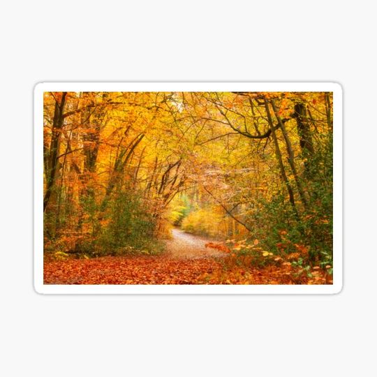 Discover Autumnal Wanderlust
