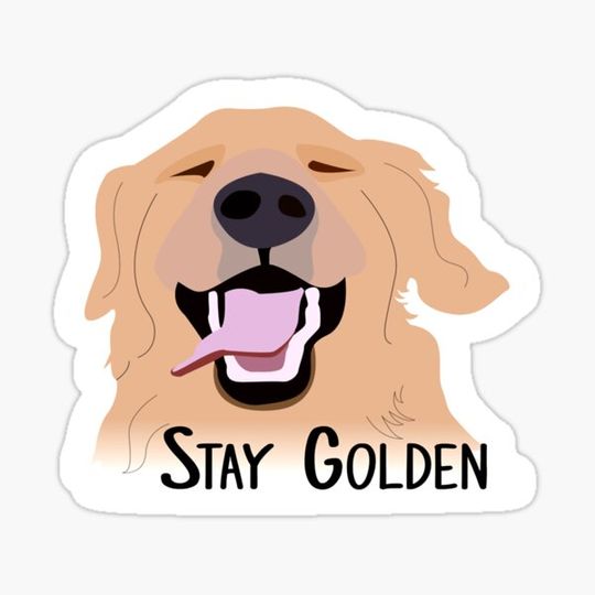 Discover Stay Golden Retriever
