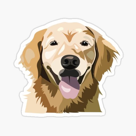 Discover Golden Retriever