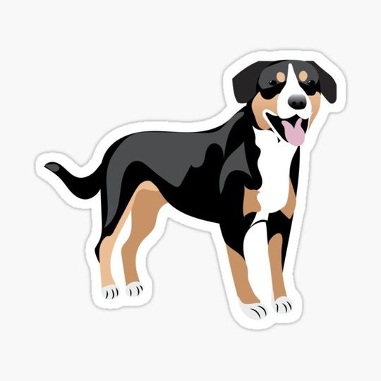 Discover Graphic Dog