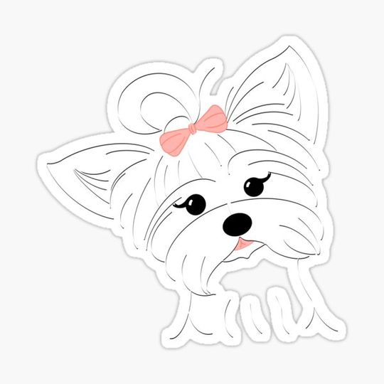 Discover Dainty Doggie