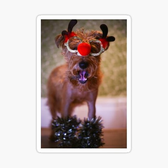 Discover Irish you a Merry Christmas!