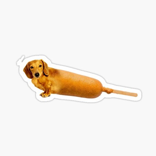 Discover Corndog Funny
