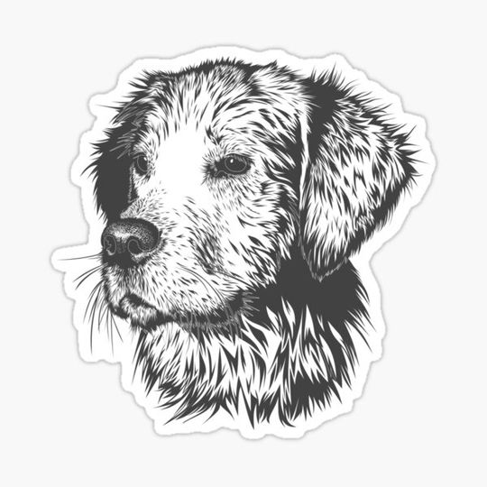 Discover Doggie