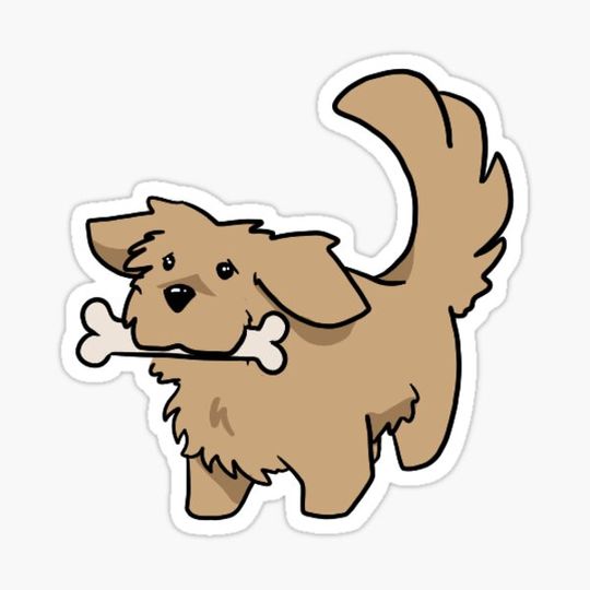 Discover Puppy