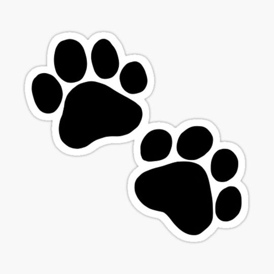 Discover Paw prints