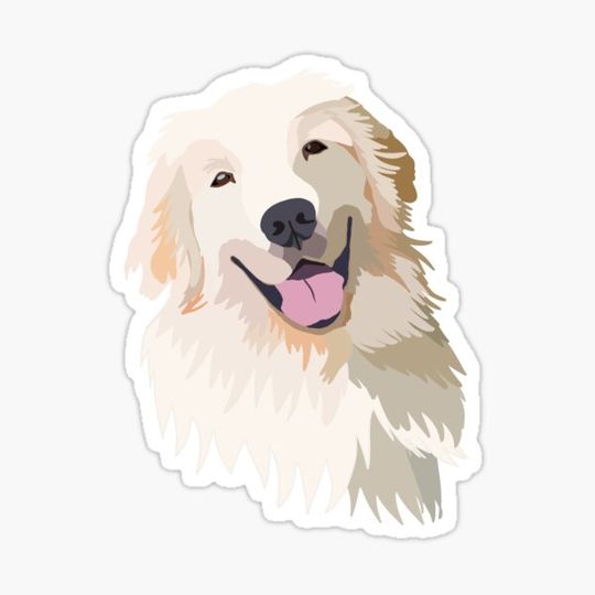 Discover golden retriever dog