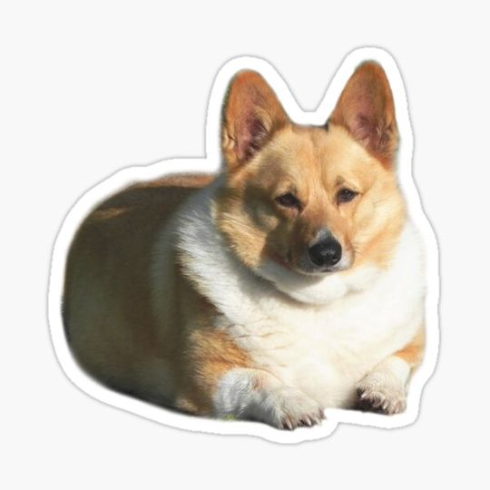 Discover Doggo Stickers: Big Boy