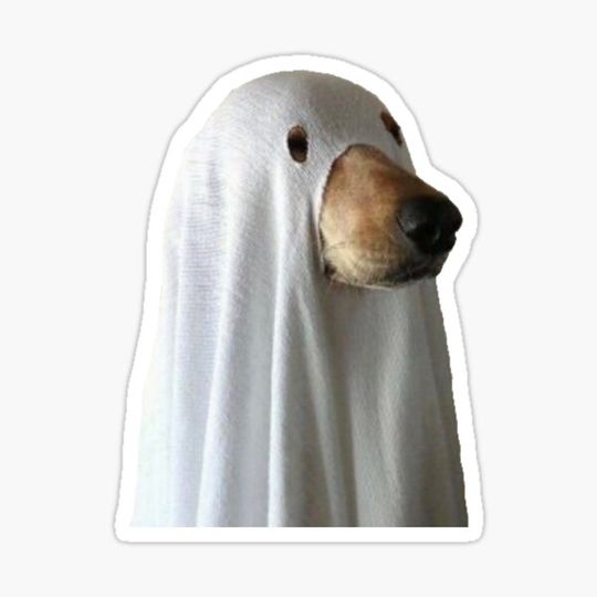 Discover Ghost Dog Meme